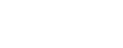 Raíz